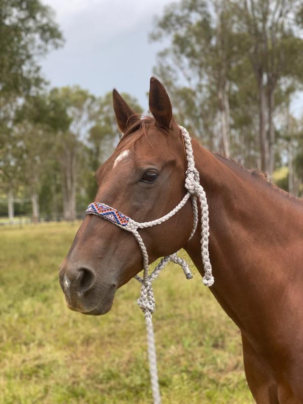 BEADED Mule Tape Halters