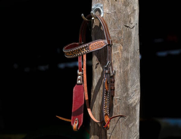 Cheetah Inspired Browband Bridle