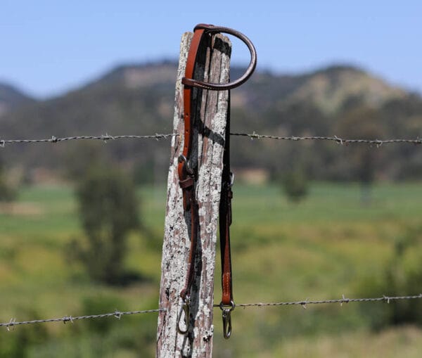 Leather Bridle with stainless steel quick snaps