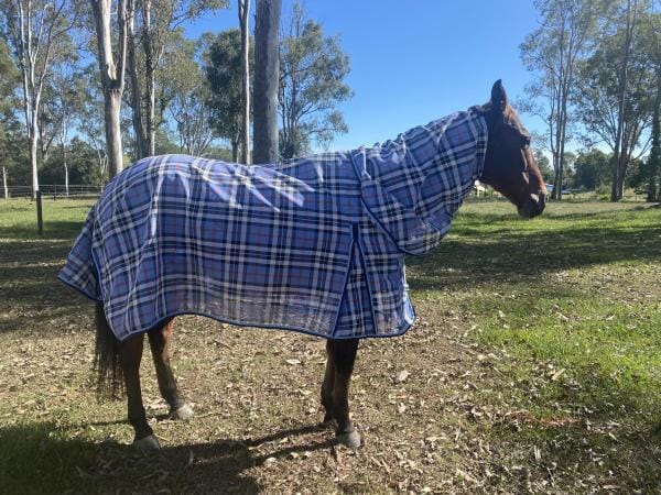 Supreme Shade PVC Shade Mesh Horse Rug Combo-Blue and White | 1