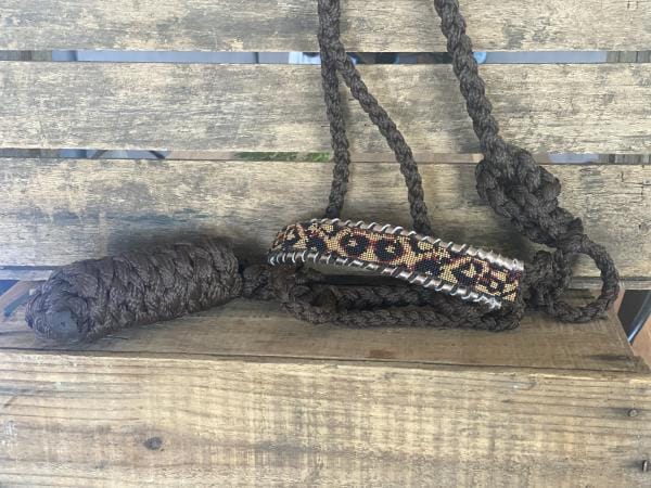 Cheetah Mule Tape halter | 1