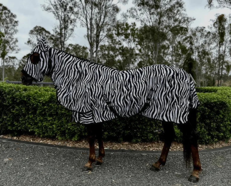 Hooded Horse Rug Full Mesh Zebra