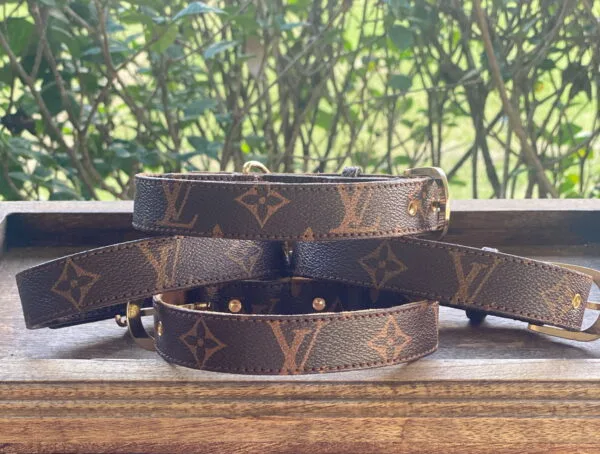 LV Dog Collars