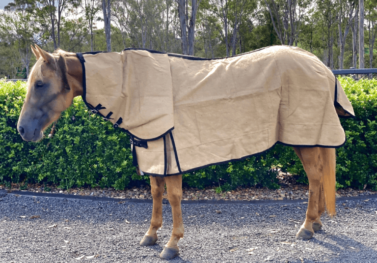 Horse Rug Combo - Jute