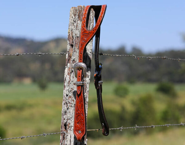 Full Leather bridle - Cit Out One Eared