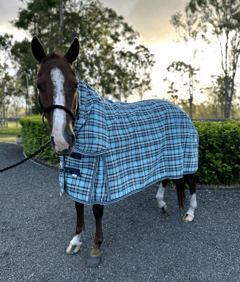 PVC Shade Mesh Combo Horse Rug Aqua and navy blue