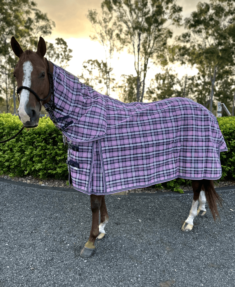 PVC Shade Mesh Horse Combo Rug Pink and Black